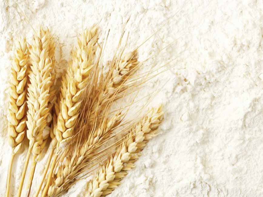 Fortification of Industrially Milled Cereal Grains