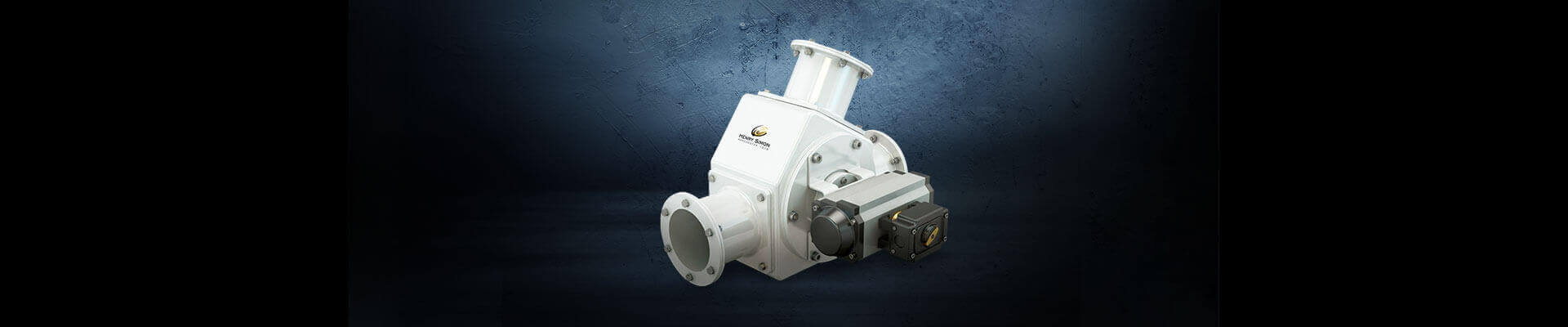 PNEUMATIC LINE DIVERTER GATE